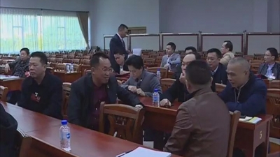 政协委员分组讨论政协常委会工作报告和提案工作情况报告