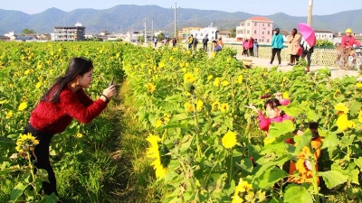 乡村慢生活 吸引游客来！九岭村兴起“旅游热”