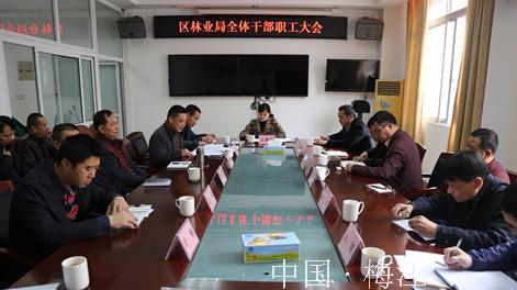 区林业局传达学习贯彻区委八届五次全会、区“两会”精神