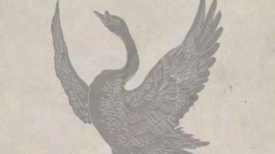 陈培锋｜咸鱼有梦