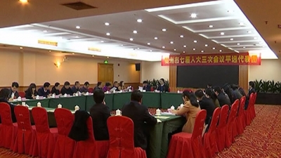 平远代表团热议市“一府两院”和人大常委会工作报告