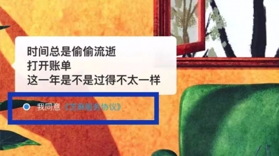 年度账单成新年第一“坑” 用户授权岂能“默认勾选”？