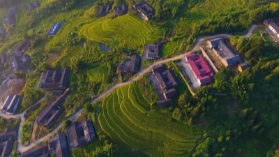 陈祖煌率队到泗水镇调研梅畲田园综合体项目