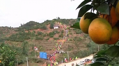 如何解读平远“一城一区一带”科学发展新格局？看看这个专访