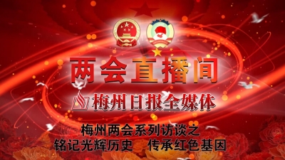 V视频丨两会访谈之铭记光辉历史 传承红色基因