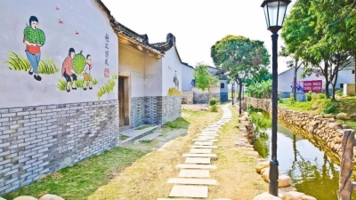 实施乡村振兴战略 ——四论学习贯彻丰顺县委十三届四次全会精神