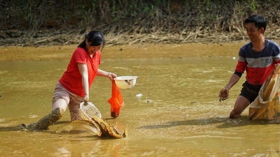 又见旱塘，下一秒就回到童年