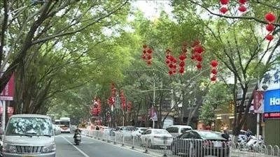 大红灯笼挂树梢，丰顺县城年味渐浓，你感受到了吗？