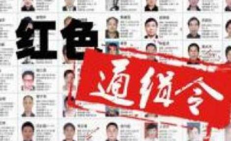 “百名红通人员”胡玉兴回国投案自首