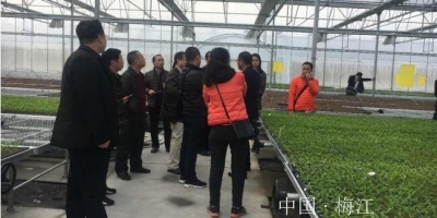 梅江区农业局到厦门市农业局交流学习