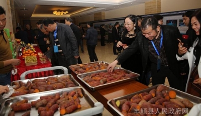 丰顺社会消费品零售总额增速居全市首位