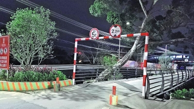 追踪丨梅城江北汉酒路被撞“矮”的限高架“长高”了