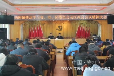 梅江区西阳镇传达学习省、市、区委全会及区两会精神