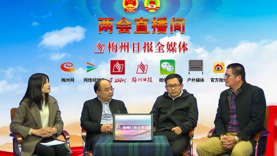 V视频丨两会访谈之加快推进特色小镇建设