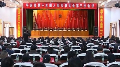 平远县十五届人大三次会议闭幕 杨栋当选平远县县长