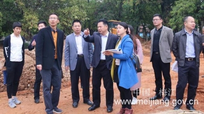 朱国城率队调研十里梅花长廊项目建设工作