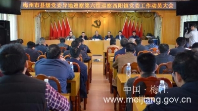 市县级党委异地巡察第六组进驻西阳镇并召开巡察工作动员大会