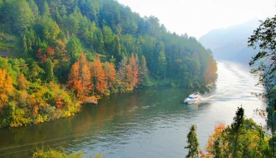 蕉岭再添16个“广东省卫生村”  有你家吗？