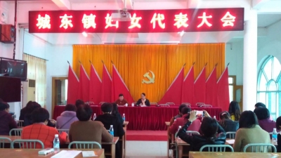 城东镇召开妇女代表大会 增选妇联执委会委员