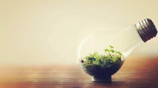 碰笔会丨张芷敏作品——《生命的重量》