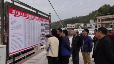 陈学军一行到潭下镇大玉村调研精准扶贫工作