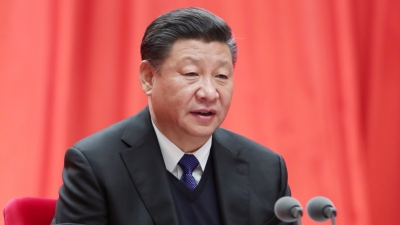习近平：“老虎”要露头就打，“苍蝇”乱飞也要拍