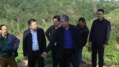 省考核组到兴宁考核森林资源保护和发展目标责任制落实