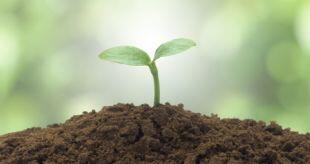 平远在全县中小学生中开展寒假安全教育活动