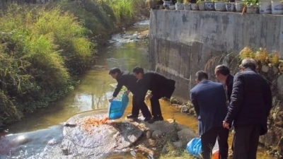 大埔桃源镇举行放生祈福活动 500多人同贺新年