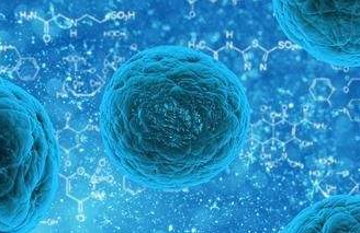 台科学家发现多能干细胞“开关” 有望推动再生医学研究