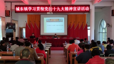 城东镇举行学习贯彻党的十九大精神宣讲活动