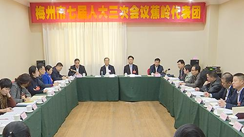 市七届人大三次会议蕉岭代表团代表热议各项工作报告 
