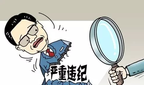 国家能源局副局长王晓林涉嫌严重违纪接受组织审查