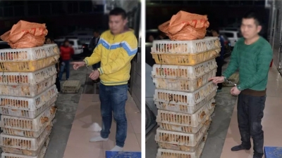 他们不“吃鸡”他们偷鸡！五华两男子到多地农村盗窃百余只鸡