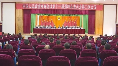 蕉岭县政协十一届三次会议胜利闭幕