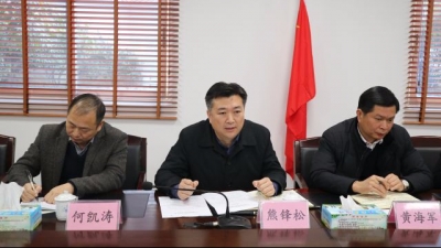 熊锋松到高陂镇指导党政班子民主生活会