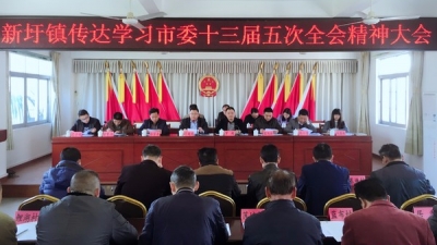 新圩镇召开传达学习兴宁市委十三届五次全会精神大会