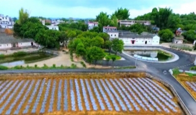 点线面结合 兴宁扮美扮靓新农村