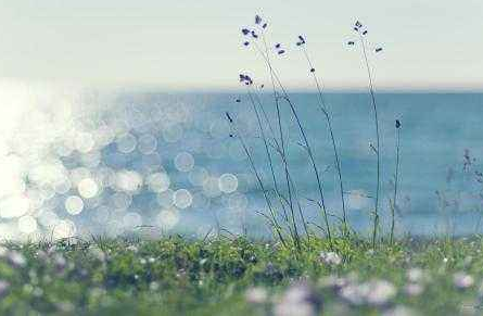 童心妙笔丨我想