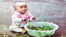 芳草地丨幼时的萌照