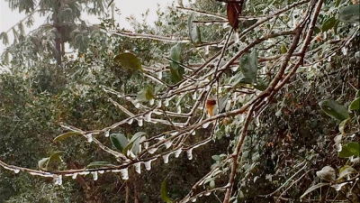 无雪不过年！平远北部乡镇冰凌雾凇美如画