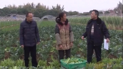 农作物怎样才能“吃好穿暖”？兴宁农艺师给您支招了！
