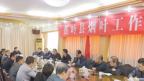 蕉岭推动烟叶生产转型升级 2018年计划收购2.2万担