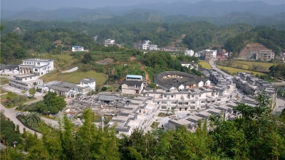 广东乡村振兴座谈会在大埔举行：分阶段分步骤推进广东乡村振兴