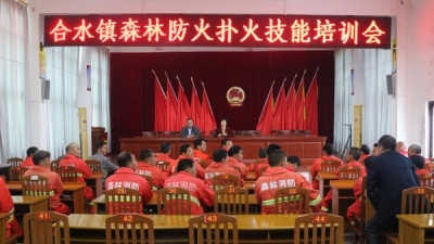 合水镇召开森林防火知识及扑火技能培训会