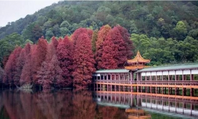 绿水青山就是金山银山  梅州去年新建14个森林公园