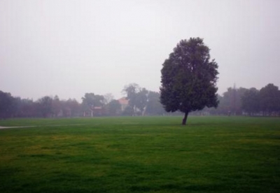 碰笔会丨它，悄悄离开了