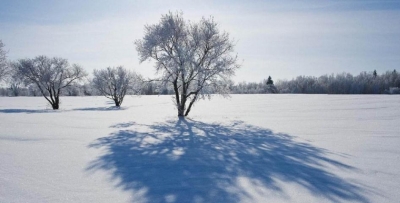 吴伟华｜冬日赞美诗