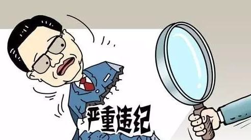山东省副省长季缃绮涉嫌严重违纪接受组织审查