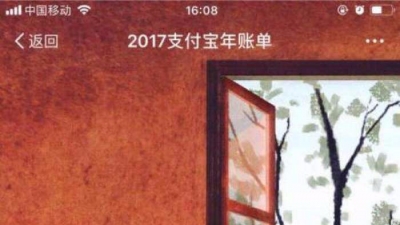 你在刷支付宝2017账单，可知“被同意”了《芝麻服务协议》？